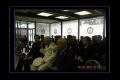 DSCN9217_tm_tm_tm.jpg