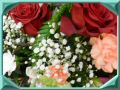 DSCN9928.JPG