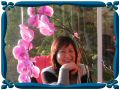 DSCN1676.JPG