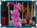 DSCN1716.JPG