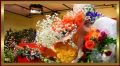 DSCN0242_1a1.jpg