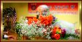 DSCN0242abbb.jpg