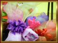 DSCN0376.JPG