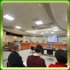 IMG_7175.jpeg